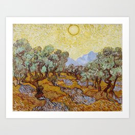Vincent Van Gogh Olive Trees Art Print