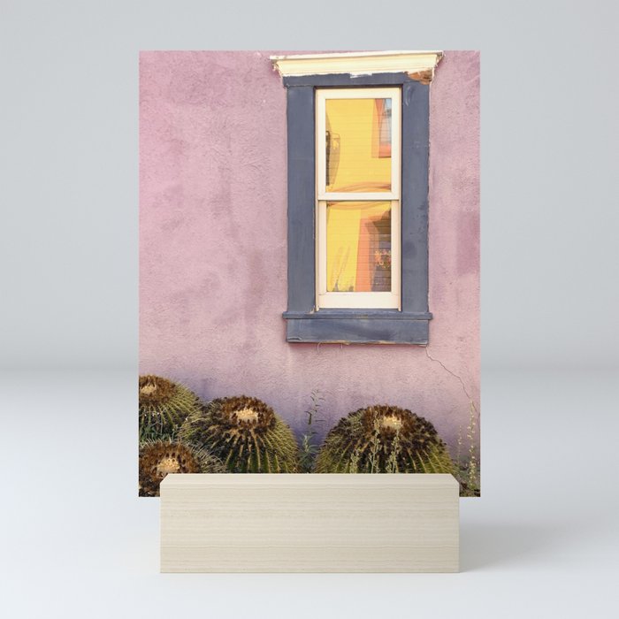 Yellow Reflections with Barrel Cactus :: Barrio Viejo Tucson Mini Art Print