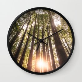 Forest at sunset Wall Clock