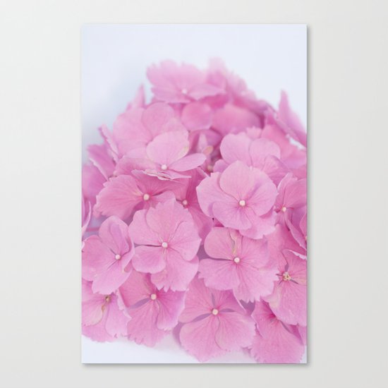 Light-Pink Hydrangeas #1 #decor #art #society6 Canvas Print