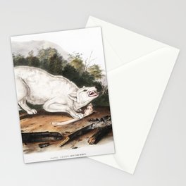 White American Wolf  the viviparous quadrupeds of North America (1845) illustrated by john james audubon Stationery Card