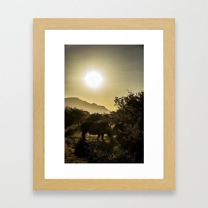 Rhino sunset Framed Art Print