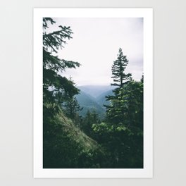 Oregon  Art Print