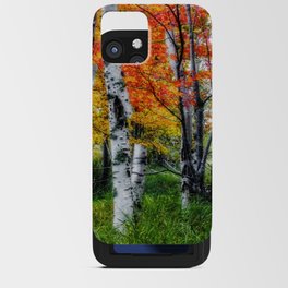 Acadia Birch Trees iPhone Card Case