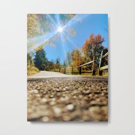 One Fall Day Metal Print | Sunshine, Fallafternoon, Color, Sunnyday, Autumn, Fall, Autumnleaves, Photo, Digital, Leaves 