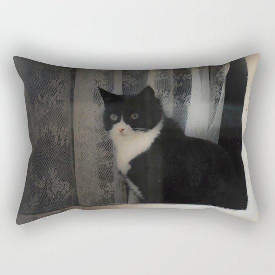 One Cat in the window Rectangular Pillow