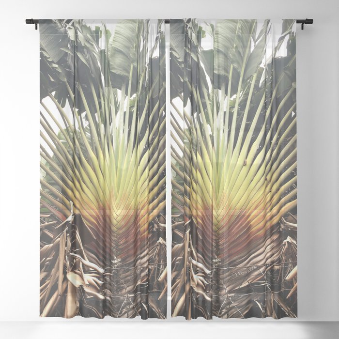 PALM LEAF, WEST AFRICA Sheer Curtain