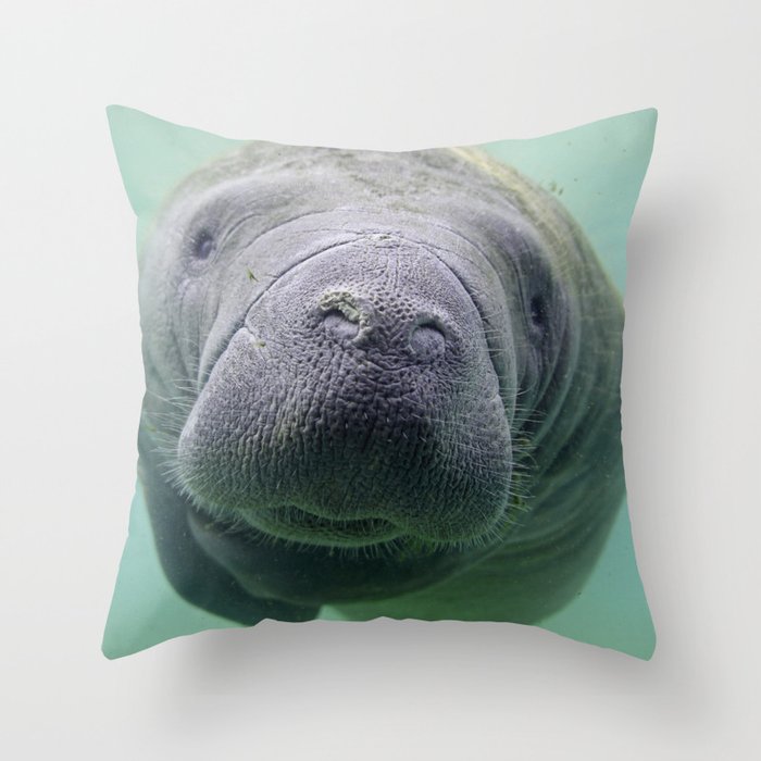 manatee body pillow