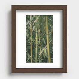 bamboo composition no.1 Recessed Framed Print