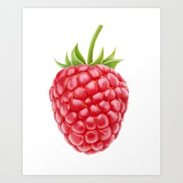 Raspberry Art Print | Vegetarian, Fresh, Red, Fruit, Sticker, Diecut, Berry, One, Fruits, White 