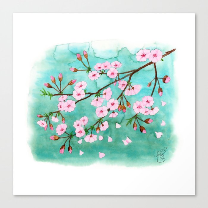 Cherry Blossom Hanami Canvas Print