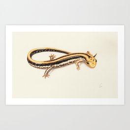 Salamander Art Print