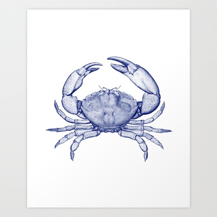 Stone Crab Navy Blue by Zouzounio Art Art Print