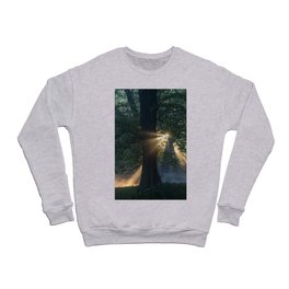 First rays Crewneck Sweatshirt