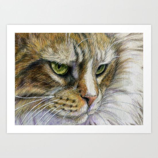 Cat portrait 806 Art Print