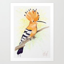 Watercolor Hoopoe Bird Art Print