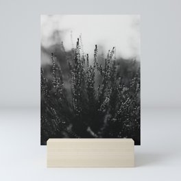 Heather Flowers Black White Mini Art Print