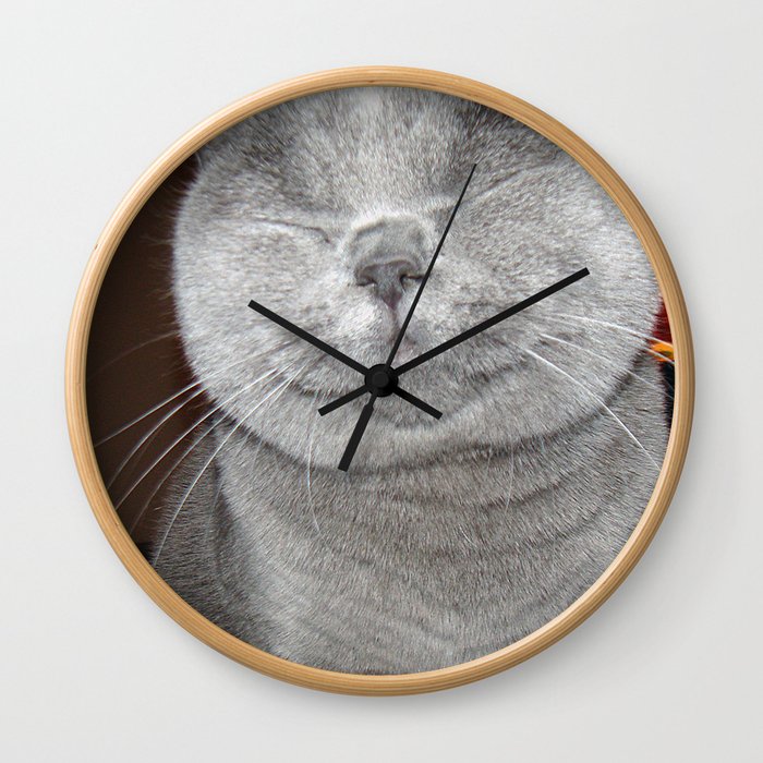 Cat Paparazzi Wall Clock