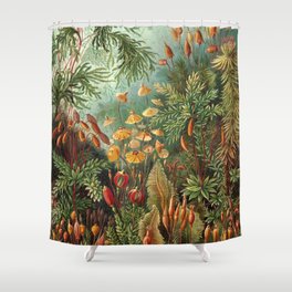 Ernst Haeckel Muscinae Microscopic Landscape Shower Curtain