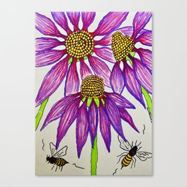 Echinacea Canvas Print