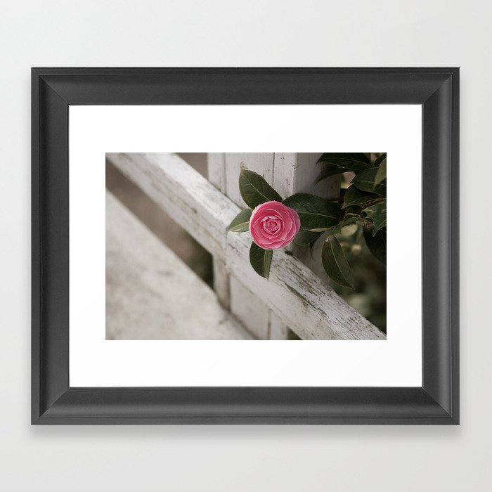 Pink Porch Flower Framed Art Print
