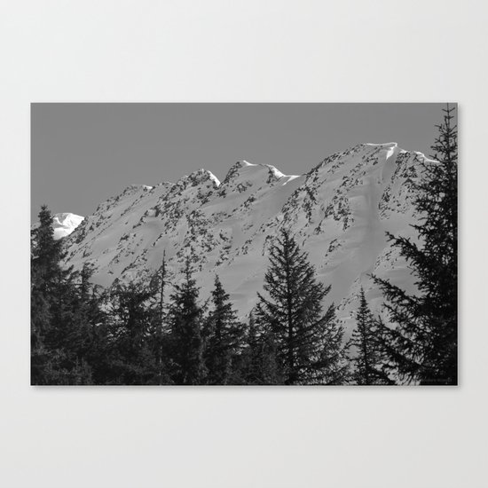 Gwin's Winter Vista - B & W Canvas Print