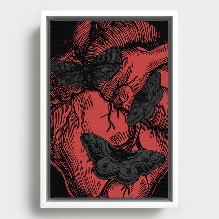 Framed Canvas