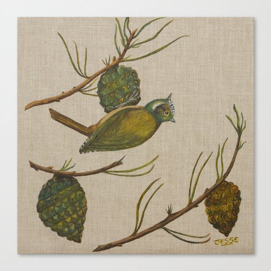 Cone Bird Canvas Print