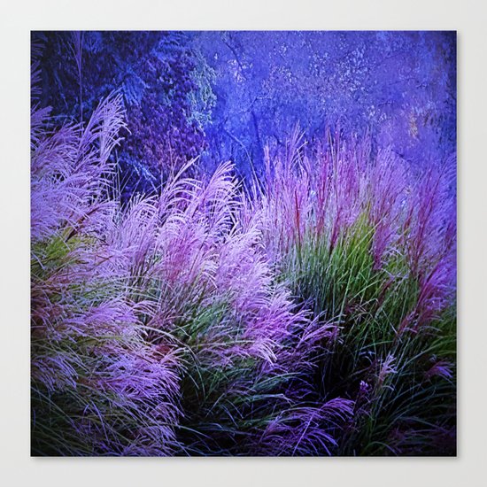 Purple long grass Canvas Print