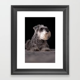 Mans Best Friend is a Dog 83 Framed Art Print