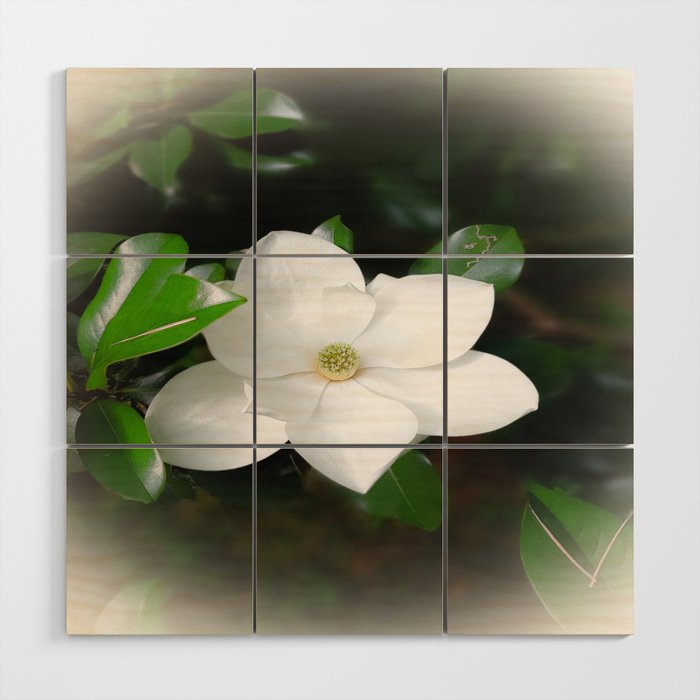 magnolia Wood Wall Art