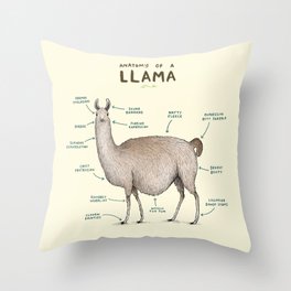 Anatomy of a Llama Throw Pillow