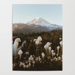 Mount Rainier NP Poster