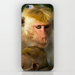 Macaque with baby  iPhone Skin