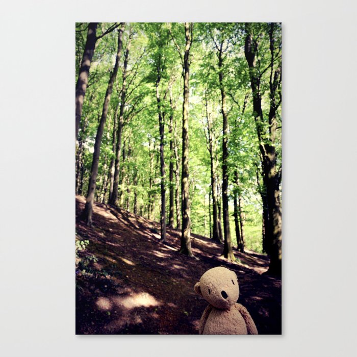 If You Go Down To The Woods Today Canvas Print