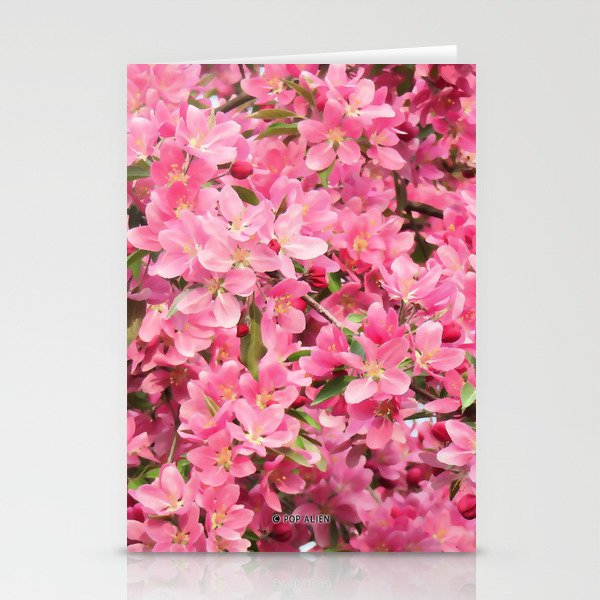 Crab Apple - Pommetier Stationery Cards
