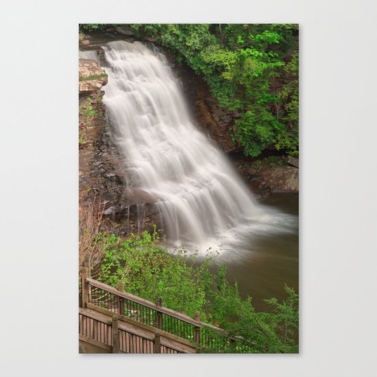 Muddy Creek Falls Canvas Print