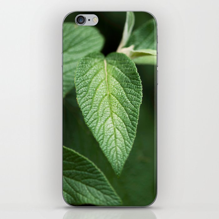 Textured Sage Leaf iPhone Skin