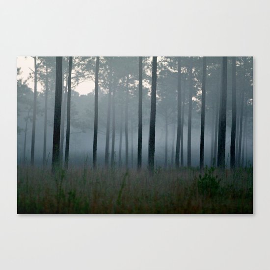 cold rain Canvas Print