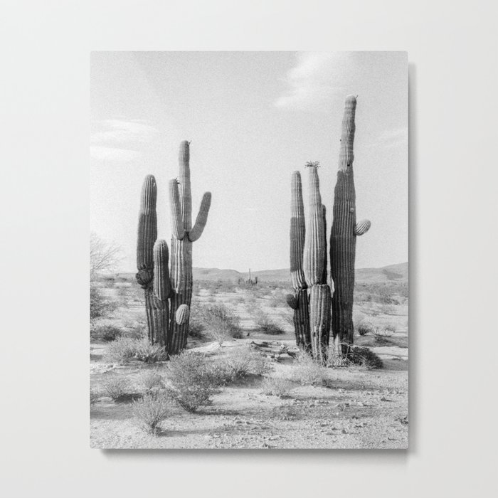 Black and White Saguaros Metal Print