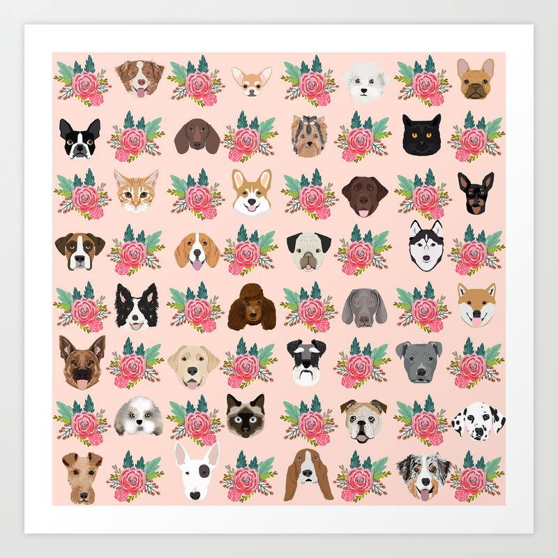 Dogs And Cat Breeds Pet Pattern Cute Faces Corgi Boston Terrier