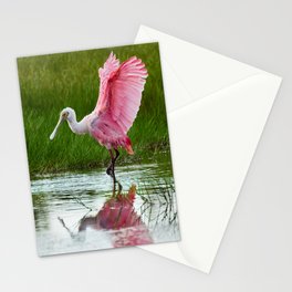 Spoonbill 3 Stationery Cards