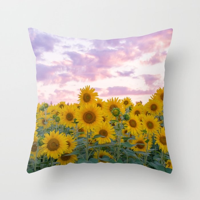 inexpensive throw pillows for couch or bed
