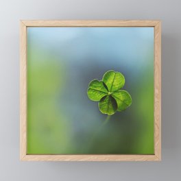 Lucky Four Leaf Clover Framed Mini Art Print