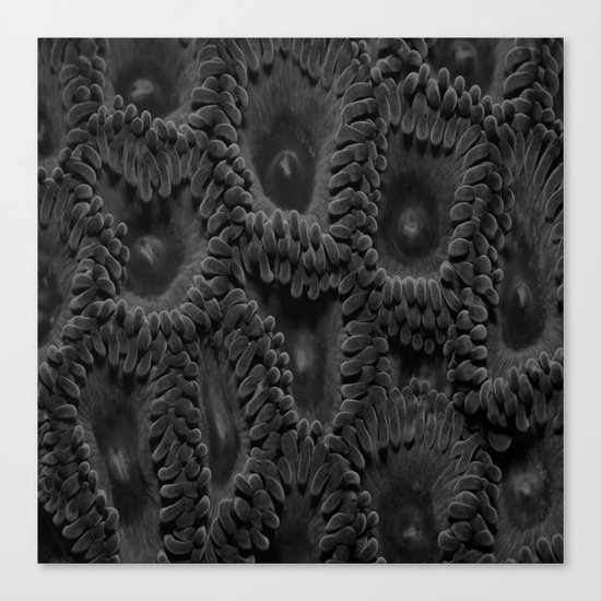 Eleven Shades of Gray Canvas Print