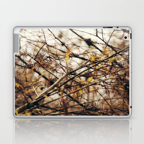 Tangled Laptop & iPad Skin