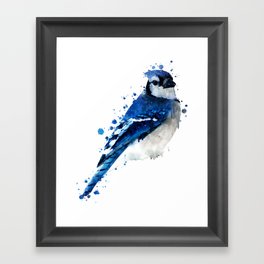 Watercolor blue jay bird Framed Art Print