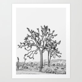 Joshua Tree National Park - Black and White Photography Art Print