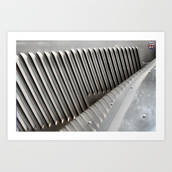 Metal Ribs Art Print