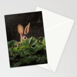 Shy Rabbit Stationery Card